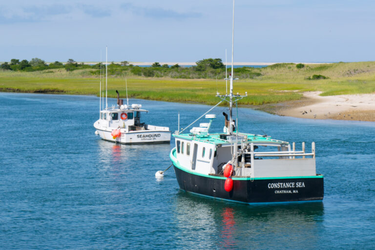 a picture of boats on Cape Cod
